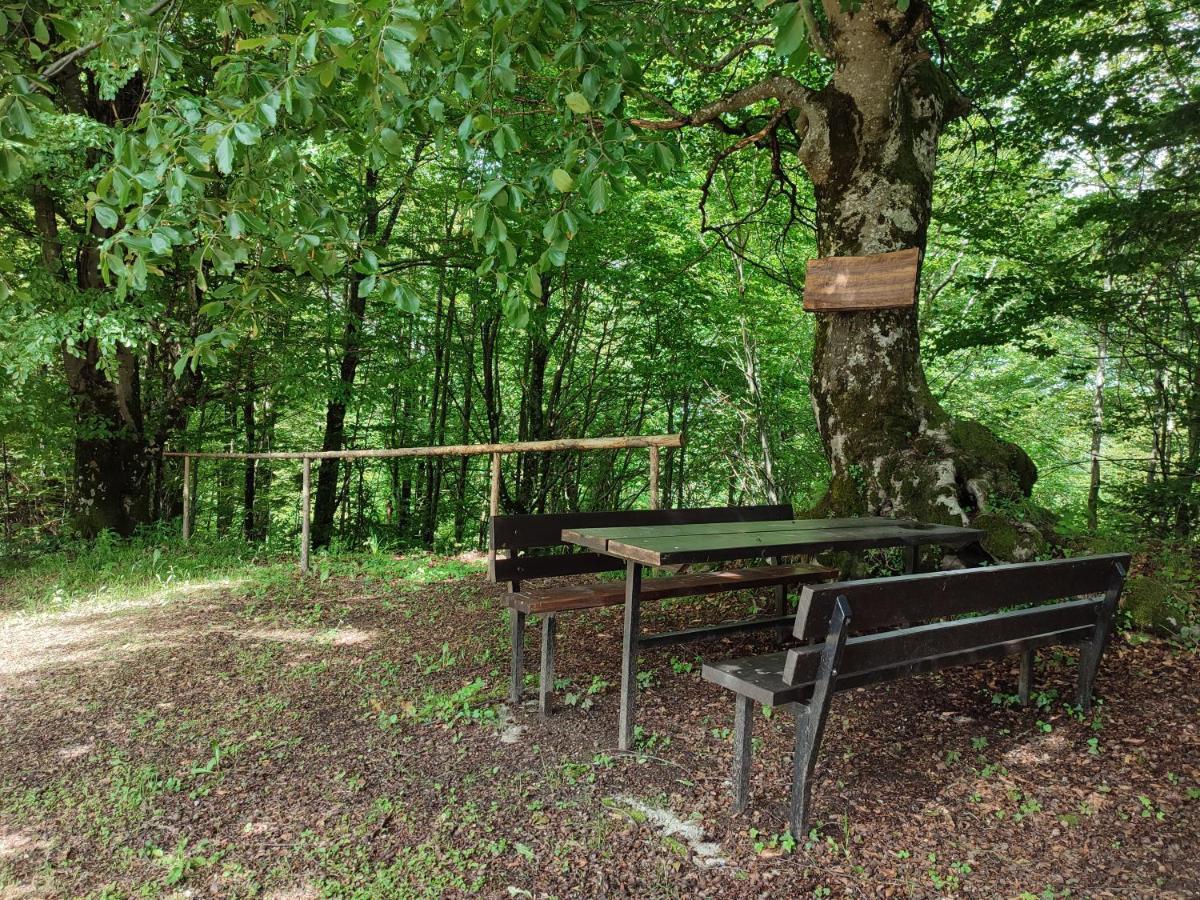 Holiday Home "Sleme" With Jacuzzi, Big Garden And Arbor With Fireplace Skrad Exterior photo