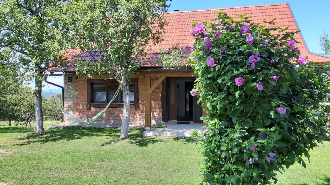Holiday Home "Sleme" With Jacuzzi, Big Garden And Arbor With Fireplace Skrad Exterior photo